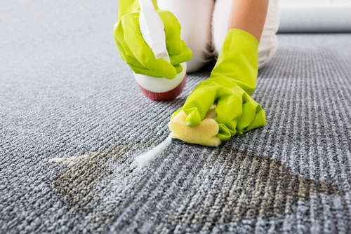 Professional Carpet Cleaning for Stubborn Stains