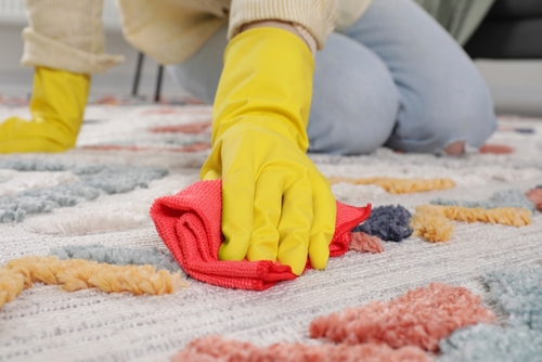 Why Choose Us for Professional Carpet Cleaning